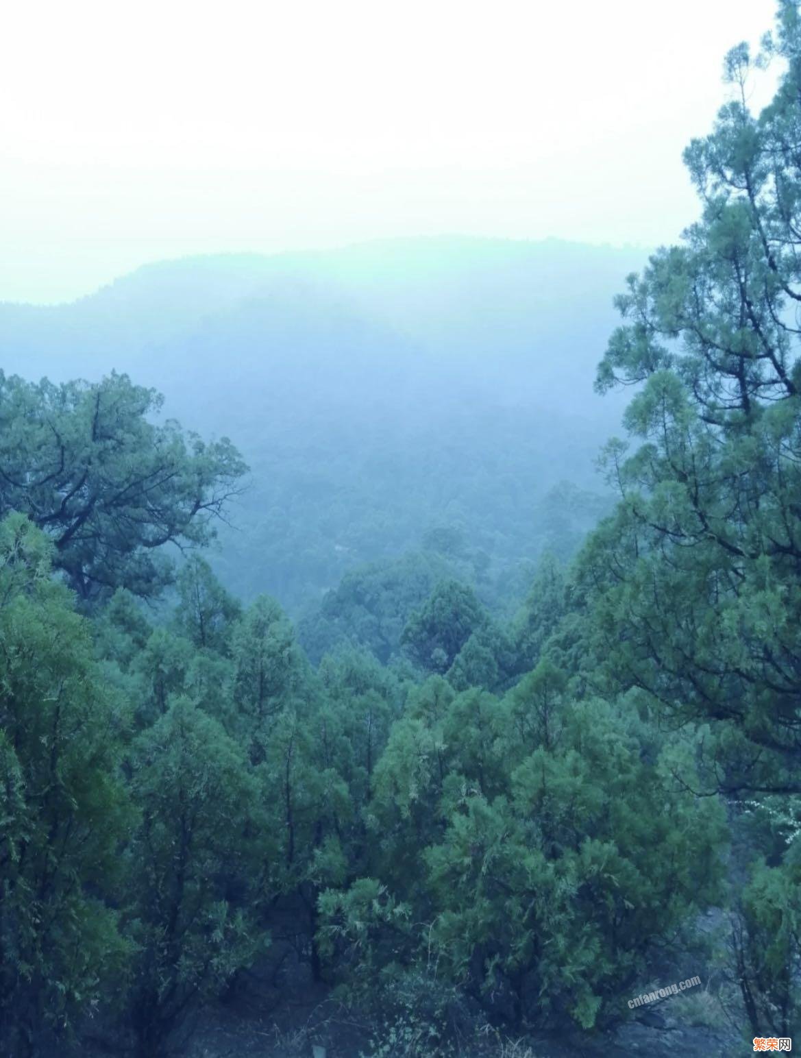 山西游玩值得打卡的10座大山 山西旅游必去十大景点