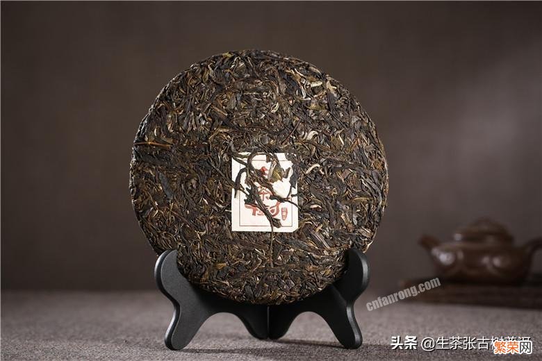 十大最古老的普洱茶树排名 云南普洱茶十大名牌