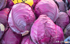 紫色的蔬菜水果有哪些 常见21种紫色的水果和蔬菜