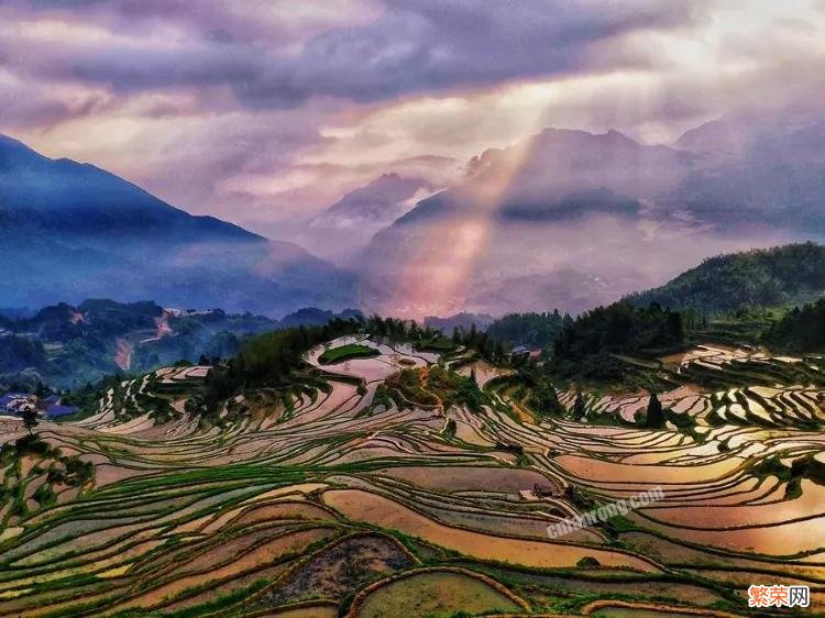 丽水市十二个值得游玩的景点 丽水旅游景点哪里好玩