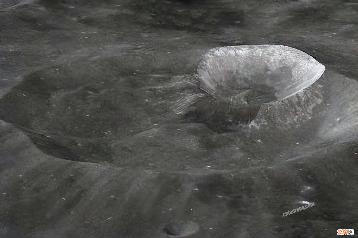 曾是地球难民？这其实是谣言 月球上嫦娥的死尸图片