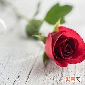 1到99朵玫瑰的含义 18朵玫瑰代表什么意思