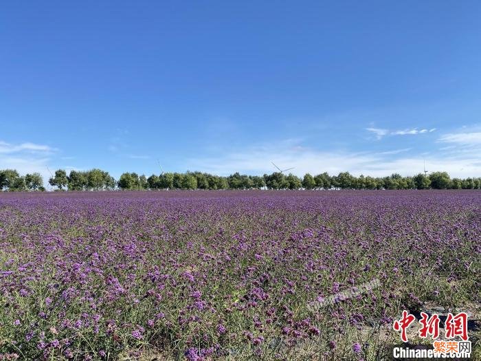 查干湖在哪个省哪个市？位于吉林省西北部的松原市