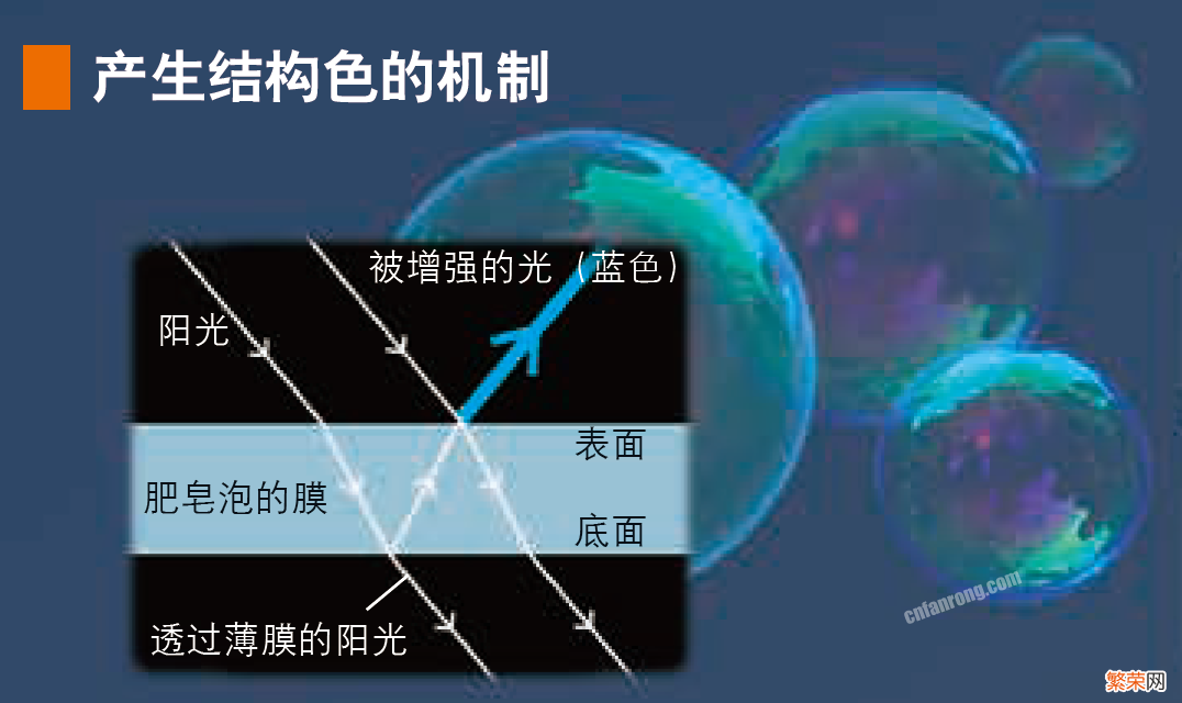 详解肥皂泡产生的机构色 为什么肥皂泡上有流动的彩色斑纹