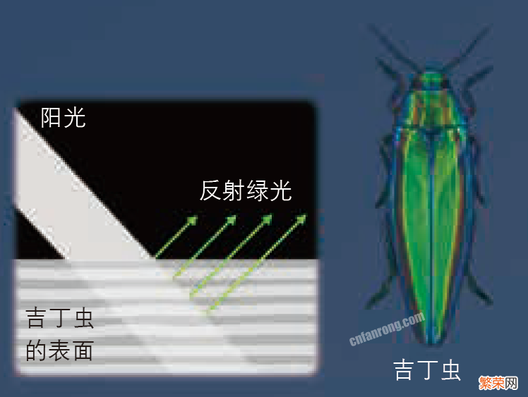 详解肥皂泡产生的机构色 为什么肥皂泡上有流动的彩色斑纹