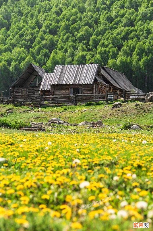 超适合情侣旅行的12个打卡地 情侣旅游地点推荐