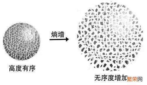 丧尸病毒有可能出现吗？网友：真有就见鬼了