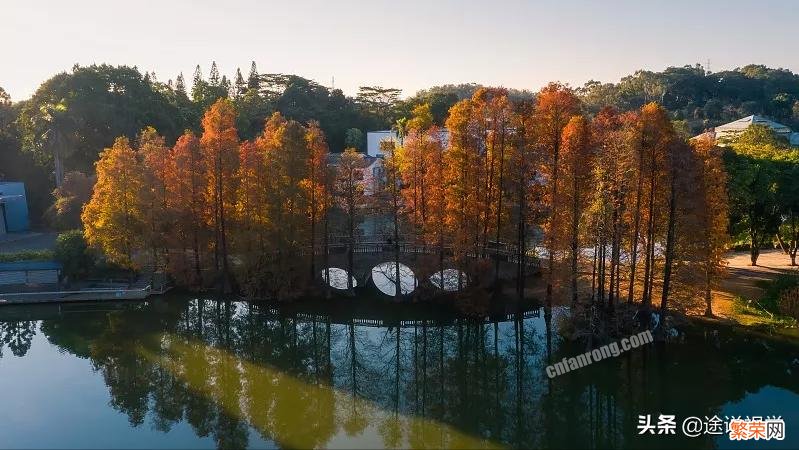 盘点必打卡的广州十大旅游景点 最值得去的广州著名景点