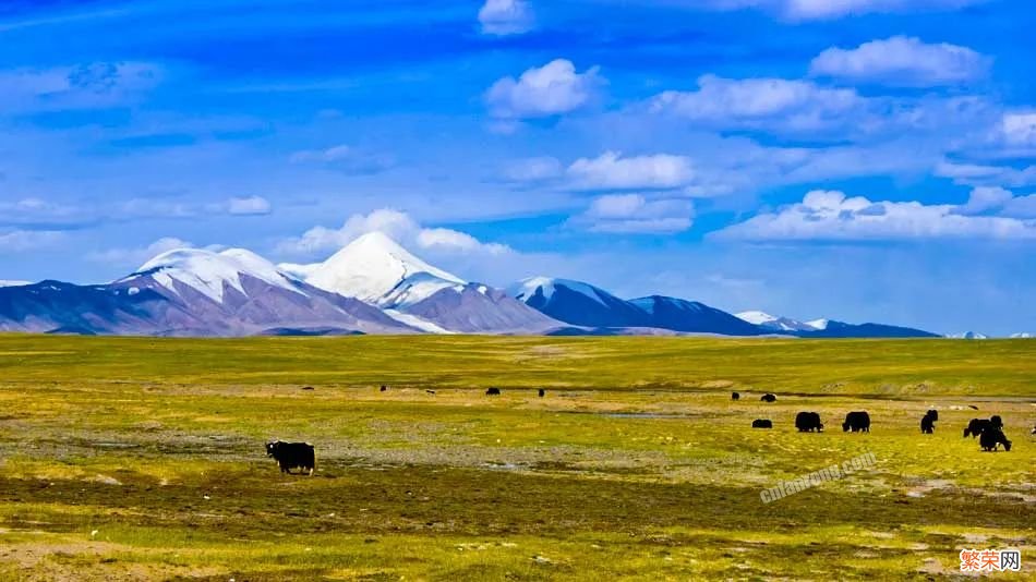 个个美如画，少去一个都可惜 青海旅游攻略必去景点大全