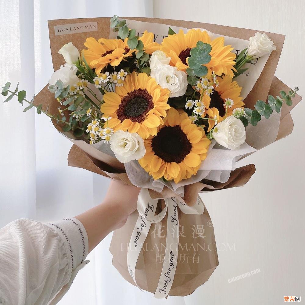 五种适合送男友有意义的花卉 送男朋友什么花最好