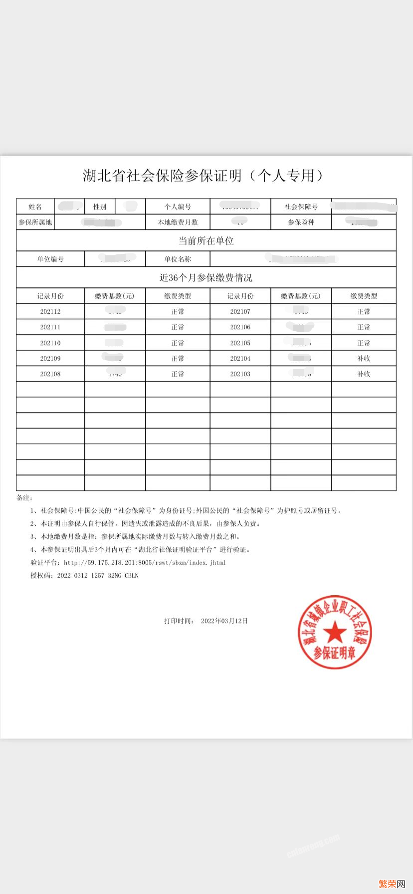 社保证明自己怎么从网上打印？详细步骤来了