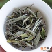 老白茶的全面解析 老白茶属于什么茶