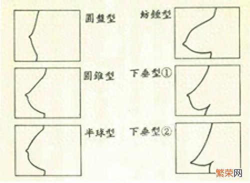 关于胸型和胸围讲解 上胸围80下胸围70是什么罩杯