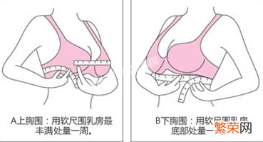 关于胸型和胸围讲解 上胸围80下胸围70是什么罩杯