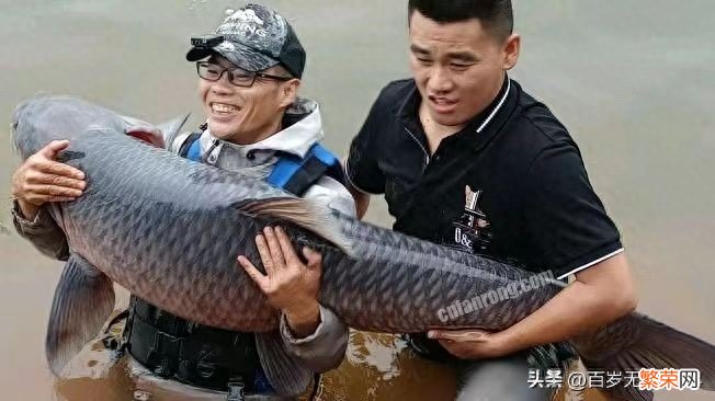 粉丝排名前十的钓鱼榜 钓鱼网红主播有哪些