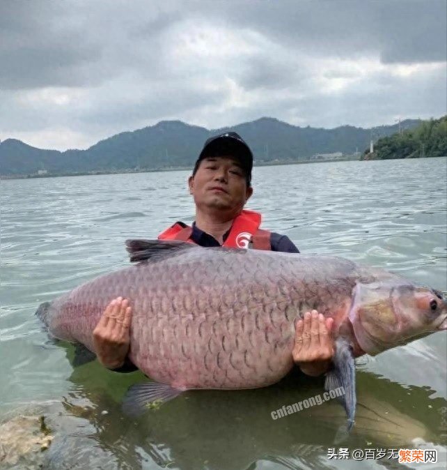 粉丝排名前十的钓鱼榜 钓鱼网红主播有哪些