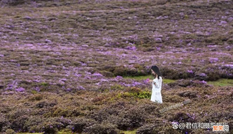 云南丽江旅游必去4个景点 丽江旅游必去的地方