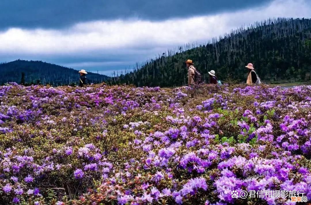 云南丽江旅游必去4个景点 丽江旅游必去的地方