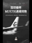 东航MU5735坠落的详细介绍 MU5735坠机详细过程