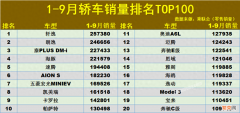 1-9月轿车销量排名TOP100 9月汽车销量排行