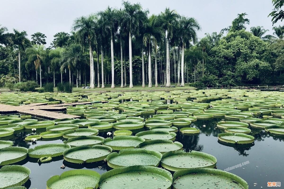 西双版纳值得一游的10个精华景区 西双版纳必去的景点推荐