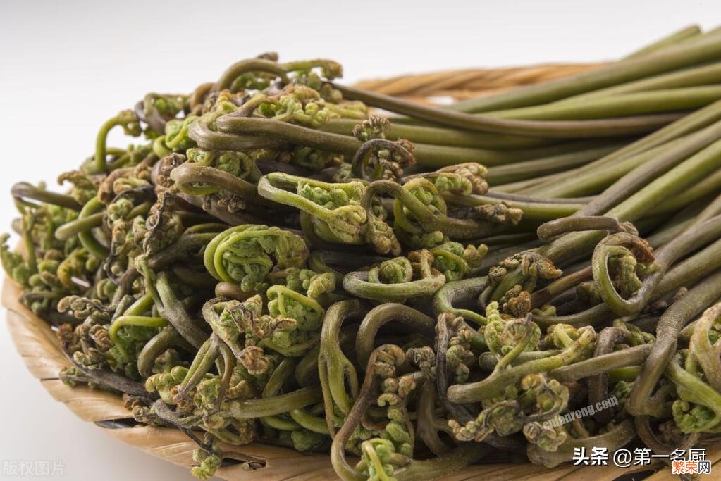 10种野菜大图鉴 能吃的野菜图片大全及名字