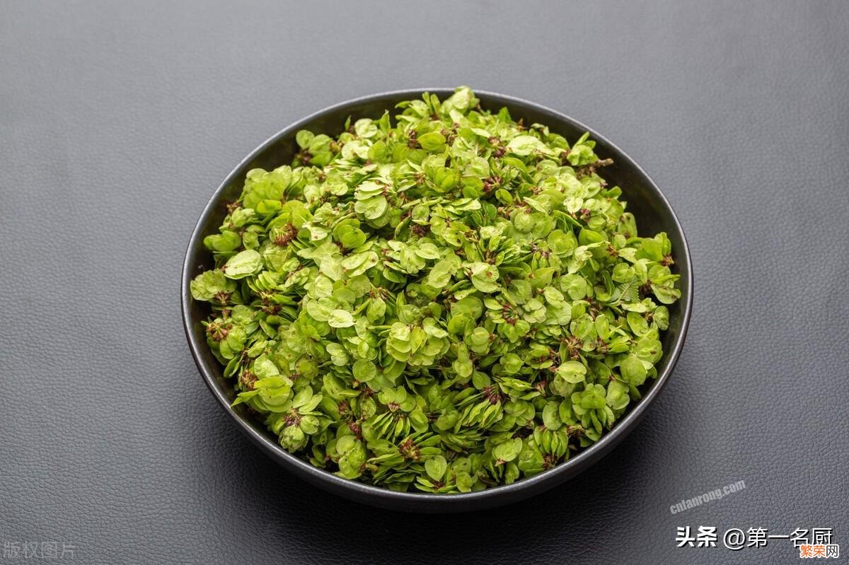 10种野菜大图鉴 能吃的野菜图片大全及名字