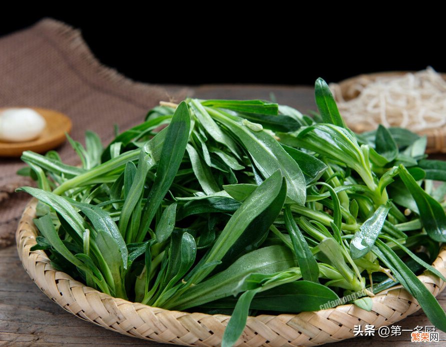 10种野菜大图鉴 能吃的野菜图片大全及名字