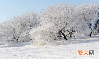 大雪节气吃什么美食 大雪节气吃什么