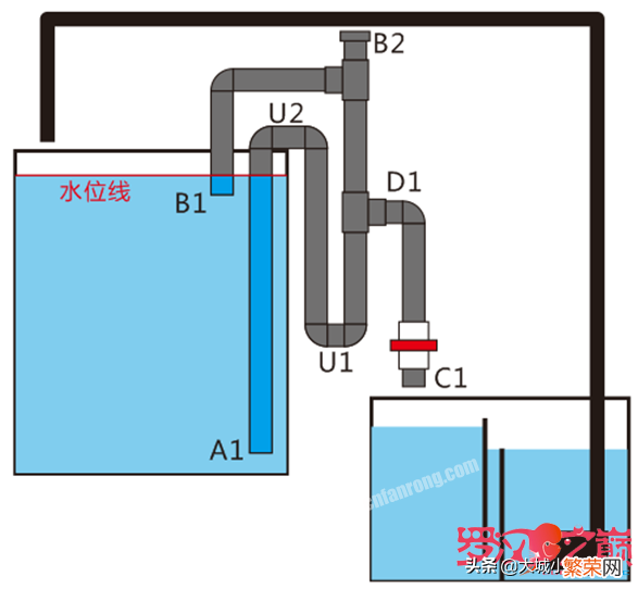虹吸排水正确的使用方法 虹吸原理怎么操作抽水