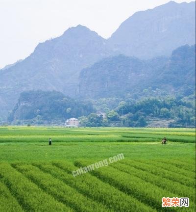 土地亩数计算方法 占地面积怎么算