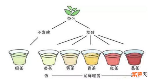 科学鉴别六大茶类发放 茶的品种怎么鉴别