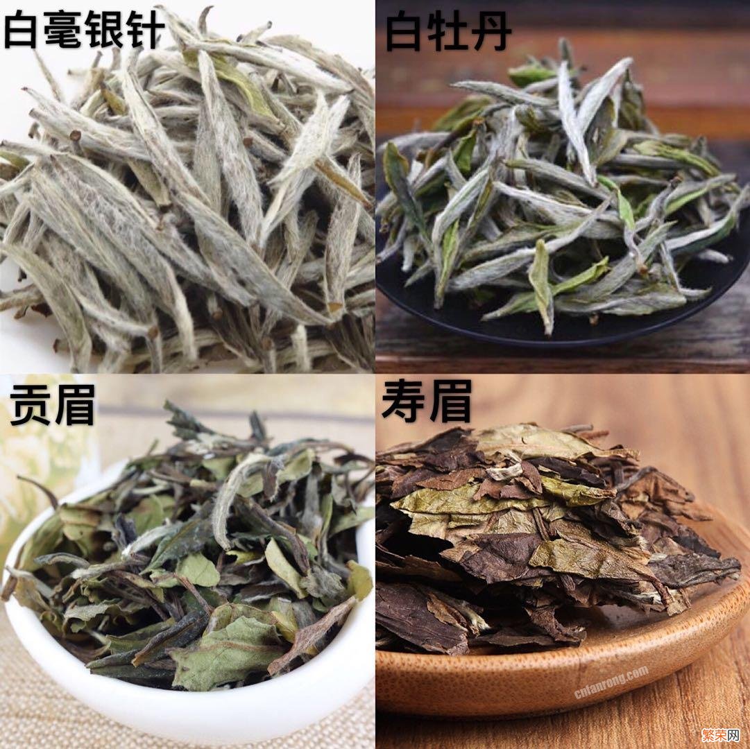 科学鉴别六大茶类发放 茶的品种怎么鉴别