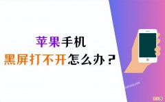 苹果手机突然黑屏打不开处理方法 苹果手机黑屏了怎么恢复正常