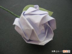 川崎玫瑰的折法 川崎玫瑰花枝和叶子慢教程