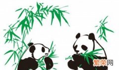大熊猫怎么拿竹子 大熊猫拿竹子的图片