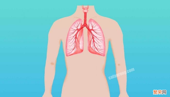 甲流引起白肺原因有哪些 甲流引起白肺原因