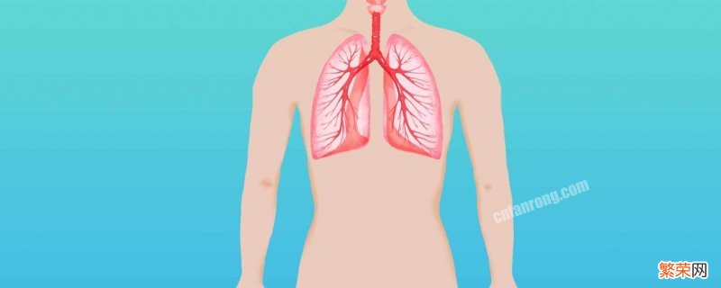 甲流对肺有影响吗 甲流肺白会怎样