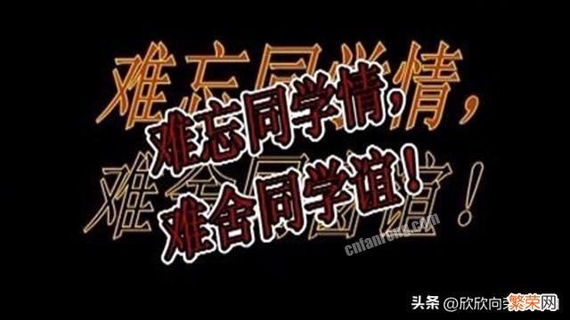 初次进群打招呼的方法 新人入群怎么打招呼