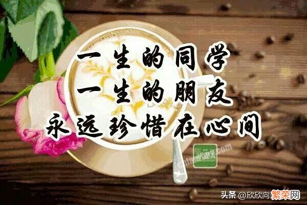 初次进群打招呼的方法 新人入群怎么打招呼