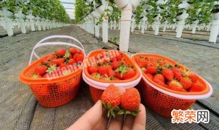 大棚立体草莓种植槽 大棚立体草莓种植槽种植技术