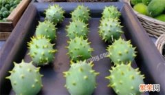 刺角瓜的种植方法 刺角瓜有什么营养