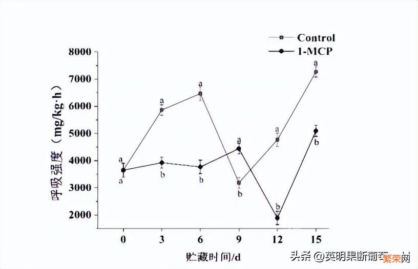 双孢蘑菇采摘后贮藏小妙招 双孢菇怎么保存时间更长