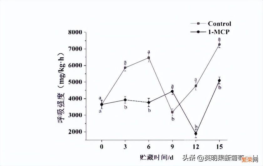 双孢蘑菇采摘后贮藏小妙招 双孢菇怎么保存时间更长