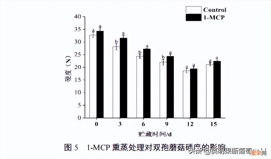 双孢蘑菇采摘后贮藏小妙招 双孢菇怎么保存时间更长