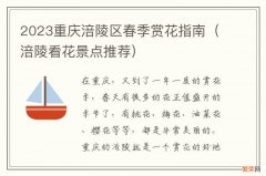 涪陵看花景点推荐 2023重庆涪陵区春季赏花指南