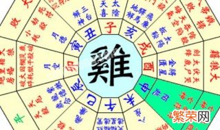 八字排盘怎么看 八字排盘怎么看婚姻