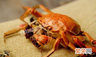 大闸蟹和什么不能一起吃 吃螃蟹的禁忌 大闸蟹和什么不能一起吃
