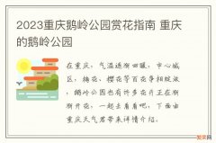 2023重庆鹅岭公园赏花指南 重庆的鹅岭公园
