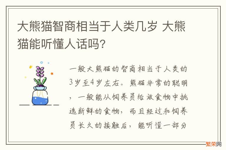 大熊猫智商相当于人类几岁 大熊猫能听懂人话吗?